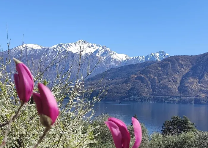 2 Livelli Con Vista Di *